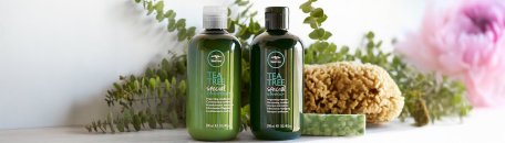 Paul Mitchell Teatree
