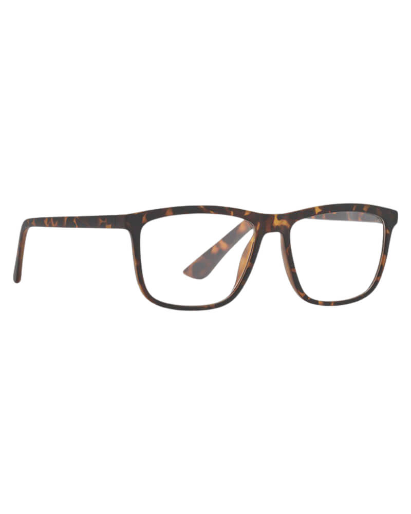 Prego Brun Læsebrille +3.00
