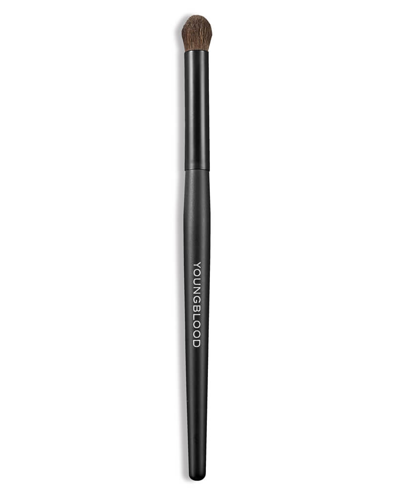 Youngblood Crease Brush (U)