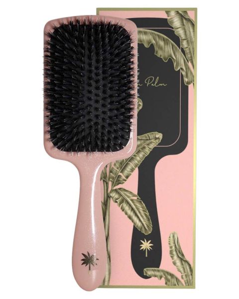 Fan Palm Double Bloom Large Paddle Brush