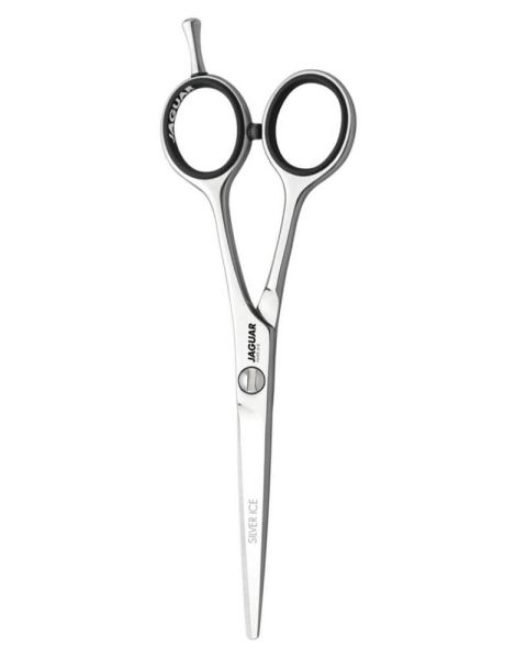 Jaguar White Line Silver Ice 6