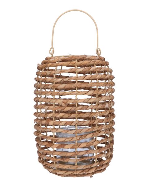 Lantern Natural Cattail 22X31C Lantern Natural Cattail 22X31C