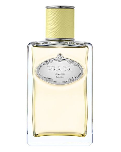 Prada Les Infusions De Gingembre EDP