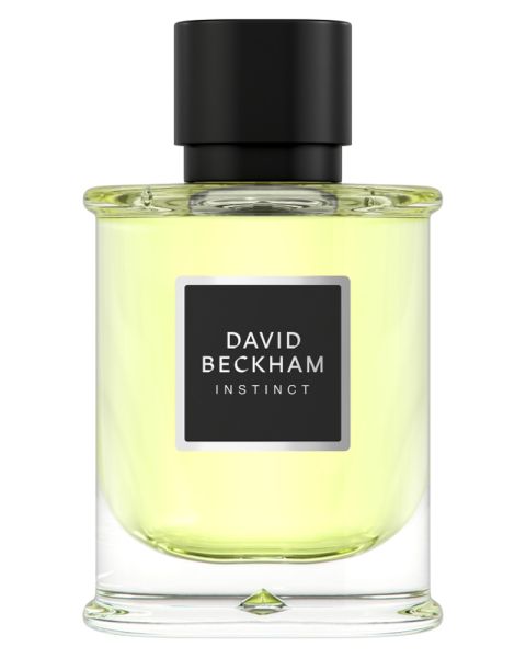 David Beckham Instinct EDP